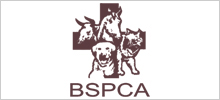 BSPCA